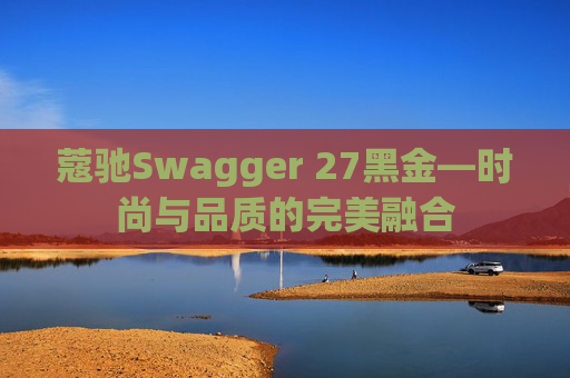 蔻驰Swagger 27黑金—时尚与品质的完美融合