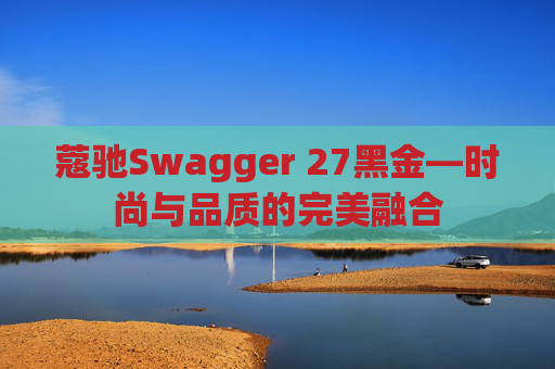 蔻驰Swagger 27黑金—时尚与品质的完美融合