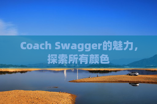 Coach Swagger的魅力，探索所有颜色
