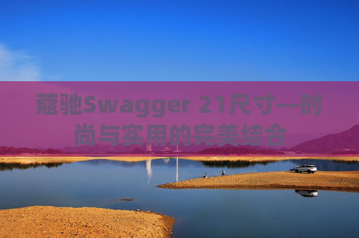 蔻驰Swagger 21尺寸—时尚与实用的完美结合