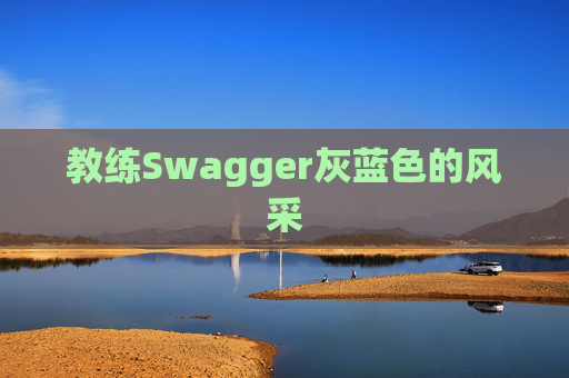 教练Swagger灰蓝色的风采