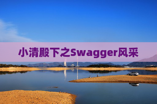 小清殿下之Swagger风采