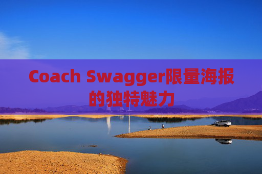 Coach Swagger限量海报的独特魅力