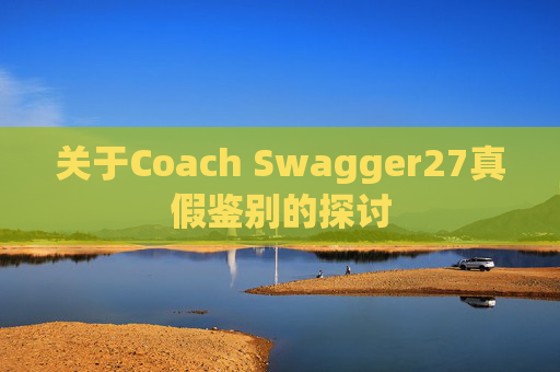 关于Coach Swagger27真假鉴别的探讨
