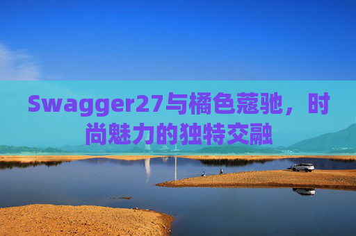 Swagger27与橘色蔻驰，时尚魅力的独特交融