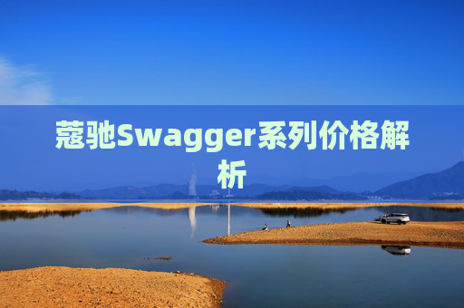 蔻驰Swagger系列价格解析
